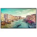 50 Inch Smart 4K TV Samsung QM50 UHD 500 Nits Smart Business display LFD